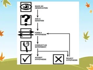 Selection Of Problem Solving Method - Premium Mobile Sunset Pictures | Free Download