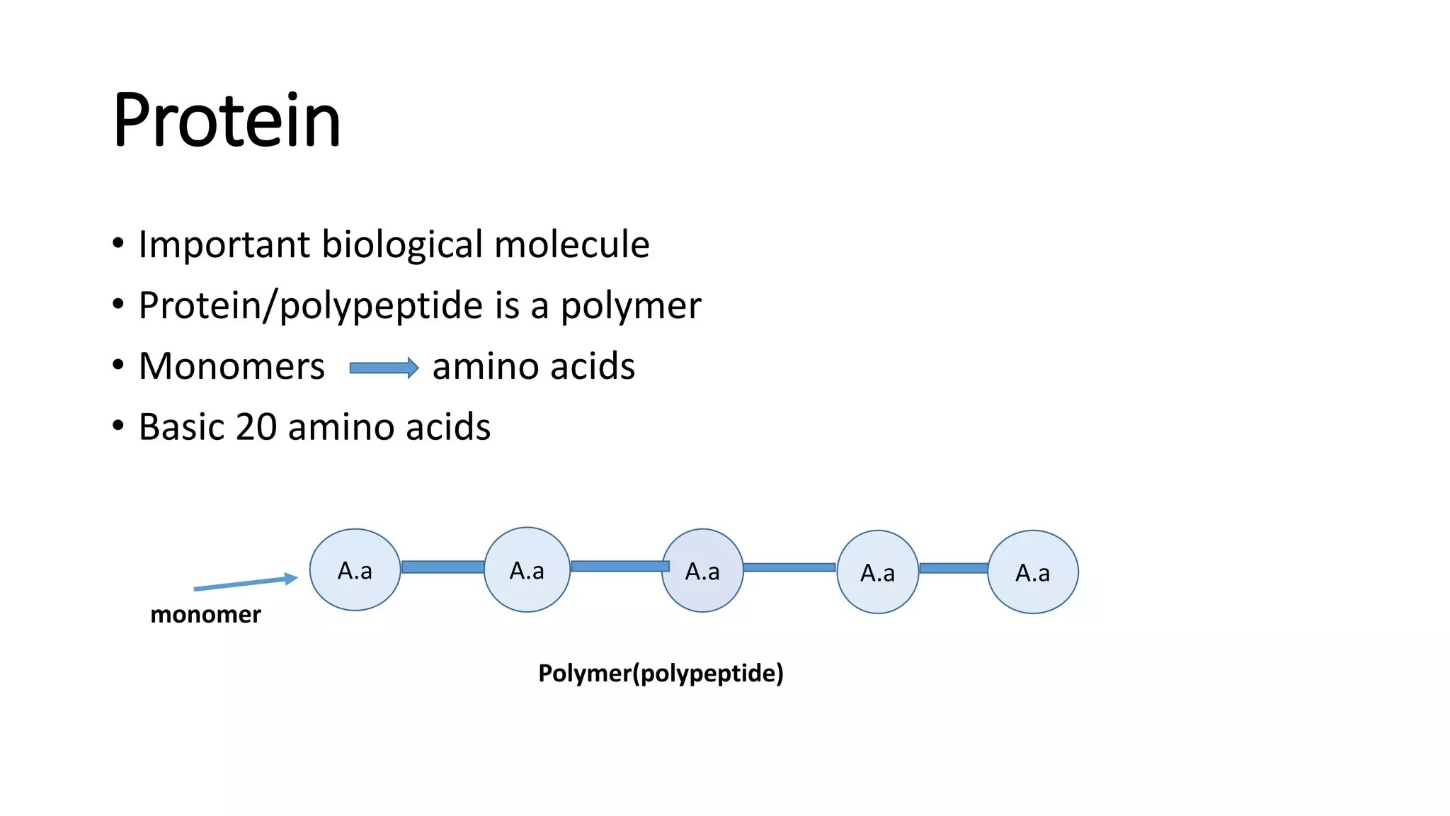 Protein structure and function