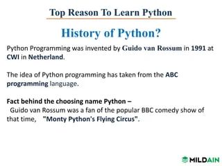Discover The Genius Behind Who Invented The Python Programming Language - Premium Full HD Minimal Backgrounds | Free Download
