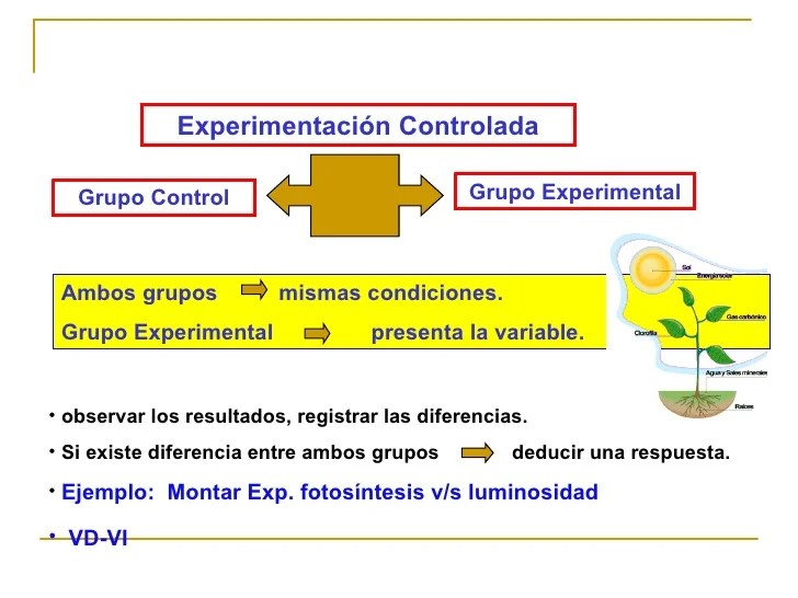 La esclerosis lateral amitrófica es una enfermedad neurodegenerativa, lo que esencialmente significa que en el sistema nervioso de los afectados por este mal mueren de forma selectiva células nerviosas. MÃ©todo CientÃ­fico