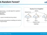 Random Forest Tutorial Random Forest In R Machine Learning Data
