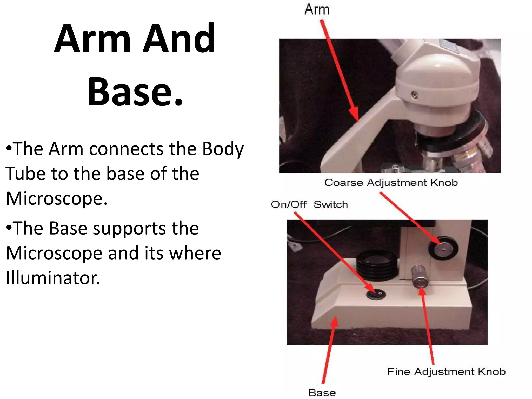 Compound microscope (basic)