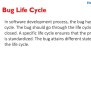 Software Testing - Defect/Bug Life Cycle - Complete Flow Chart Of ...