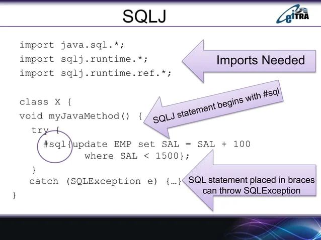 Sql Embedded Sql Dynamic Sql And Sqlj Pptx - Perfect HD Dark Arts | Free Download