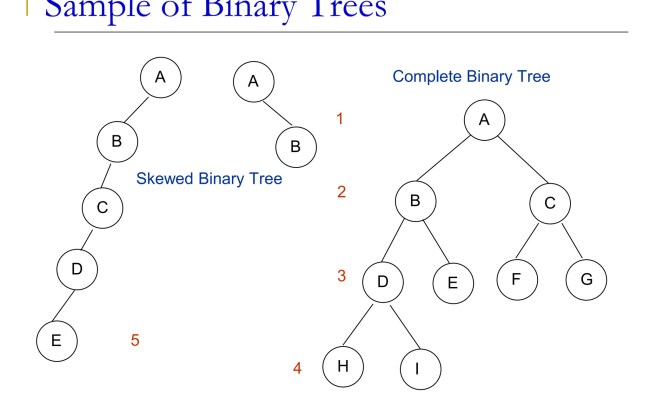Tree Data Structure Tree Data Structure Details | PPTX