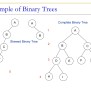 Tree Data Structure Tree Data Structure Details | PPTX