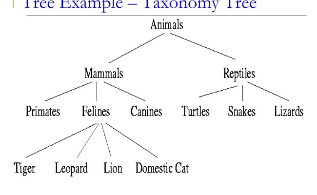 Tree Data Structure Tree Data Structure Details | PPTX
