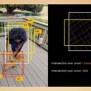YOLO Algorithm For Object Detection.pptx