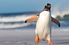 Linux 7.2: AI-Driven Updates & Torvalds' Concerns | Kernel Release Candidate 7 (2026)