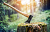 HackerOne Slashes Bug Bounty Rewards: What's the Impact on Security Researchers? (2026)