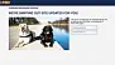 FBI jobs site's down message