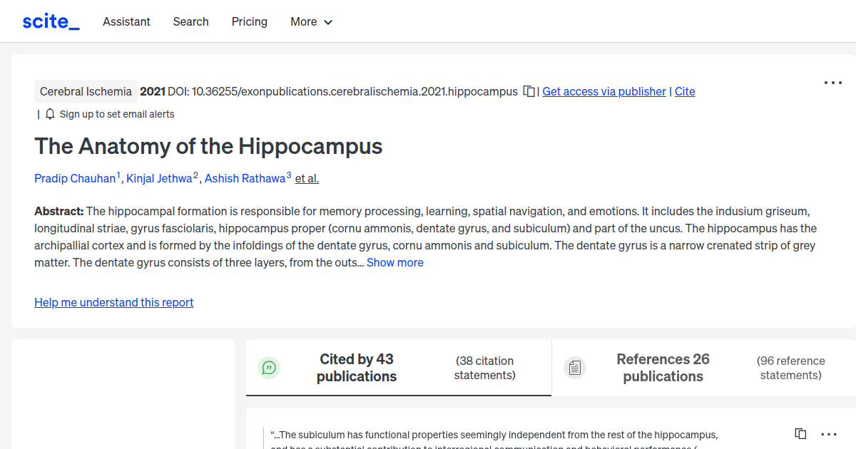 Hippocampus Pdf - Premium Minimal Background Gallery - Full HD