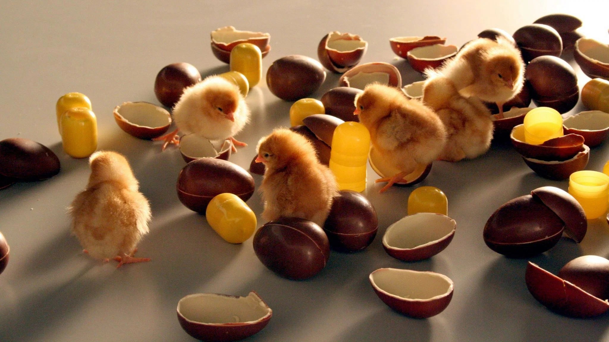 Food Design