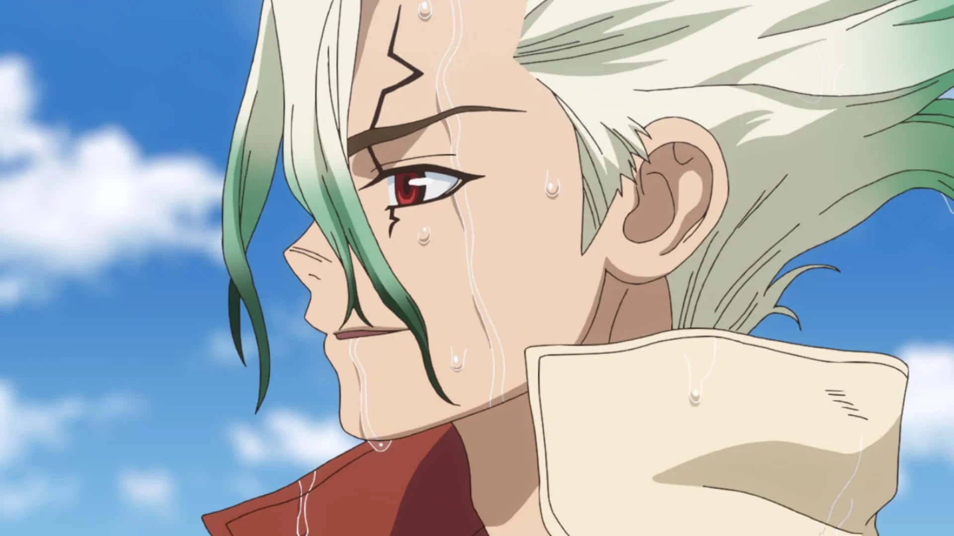 Dr. Stone