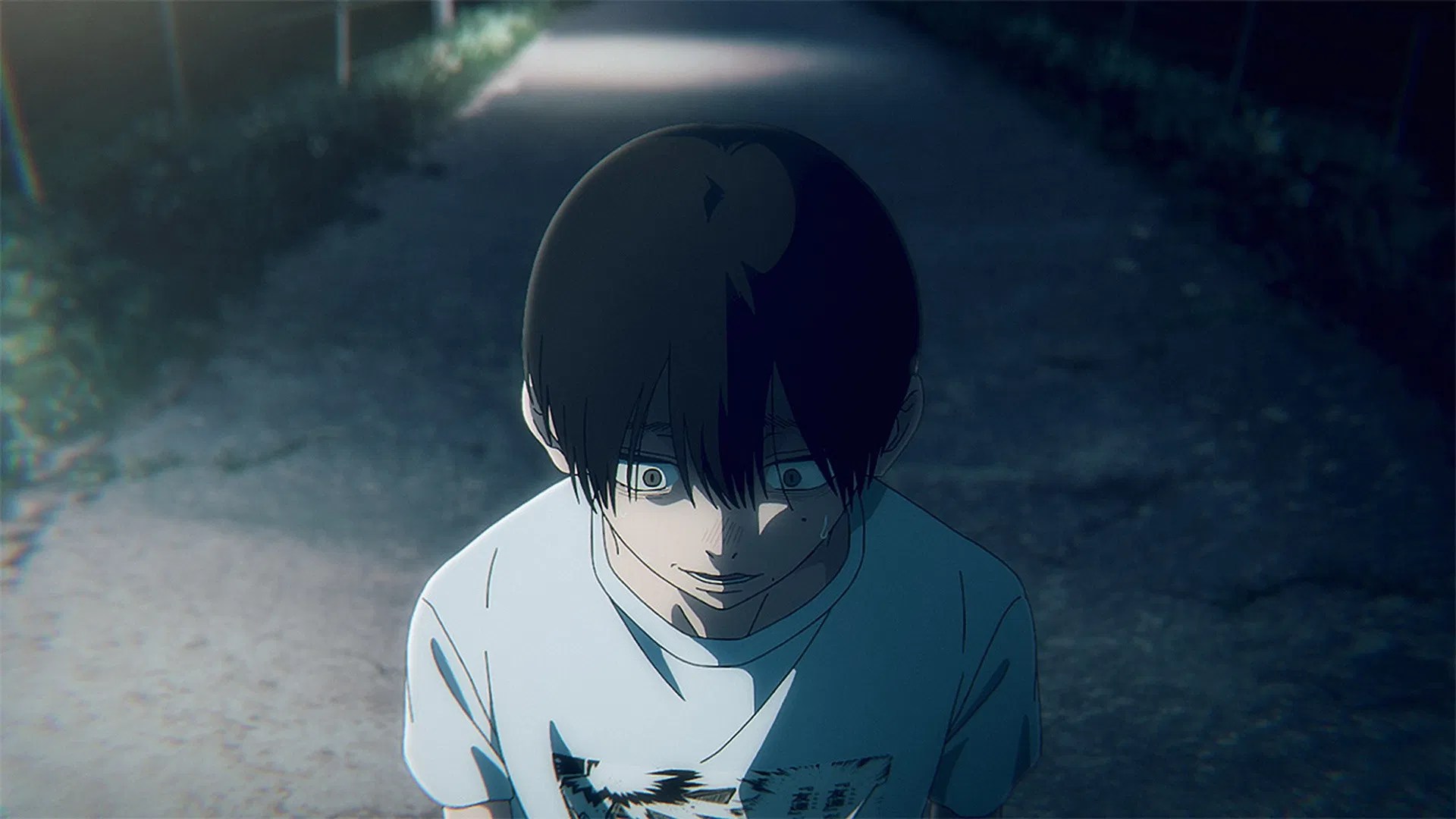 El verano en que Hikaru murió