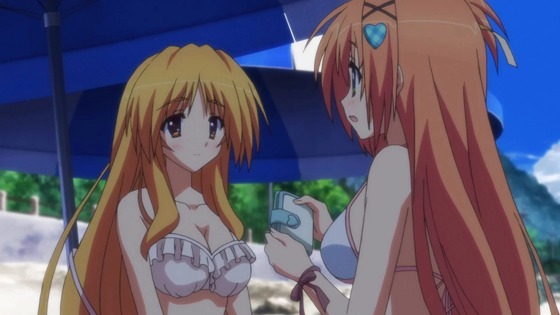 Un puente al cielo estrellado