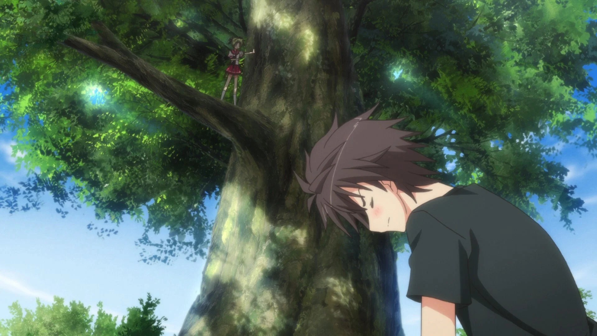 Un puente al cielo estrellado