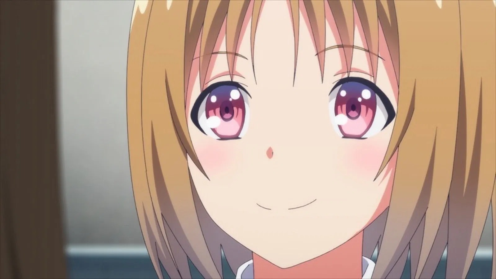 Classroom of the Elite