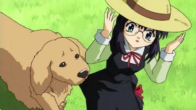 Sister Princess: Re Pure