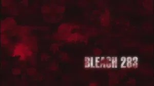 Bleach