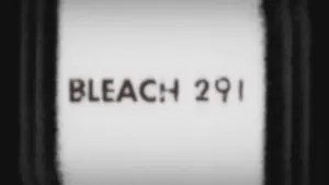Bleach