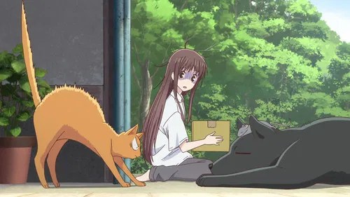 Fruits Basket