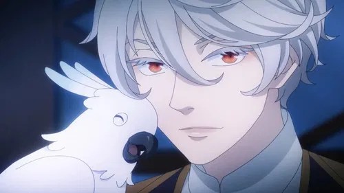 Nina the Starry Bride