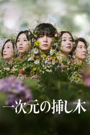 Image 一次元の挿し木