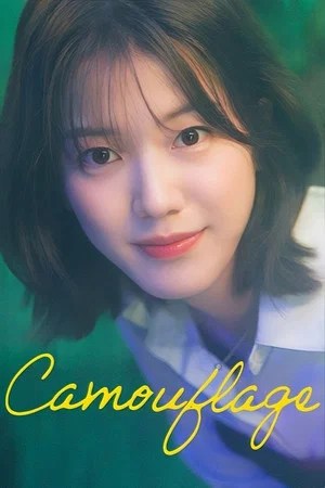 Poster Camouflage 2024