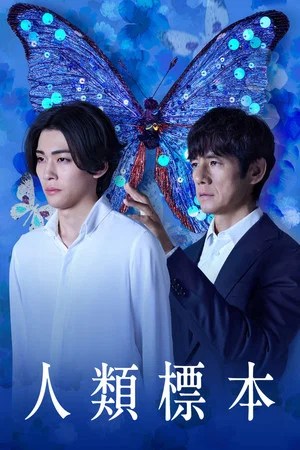 Image 人体标本