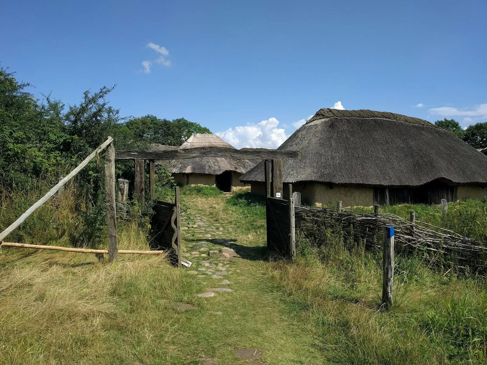 Lejre Museum - Creative HD Abstract Illustrations | Free Download