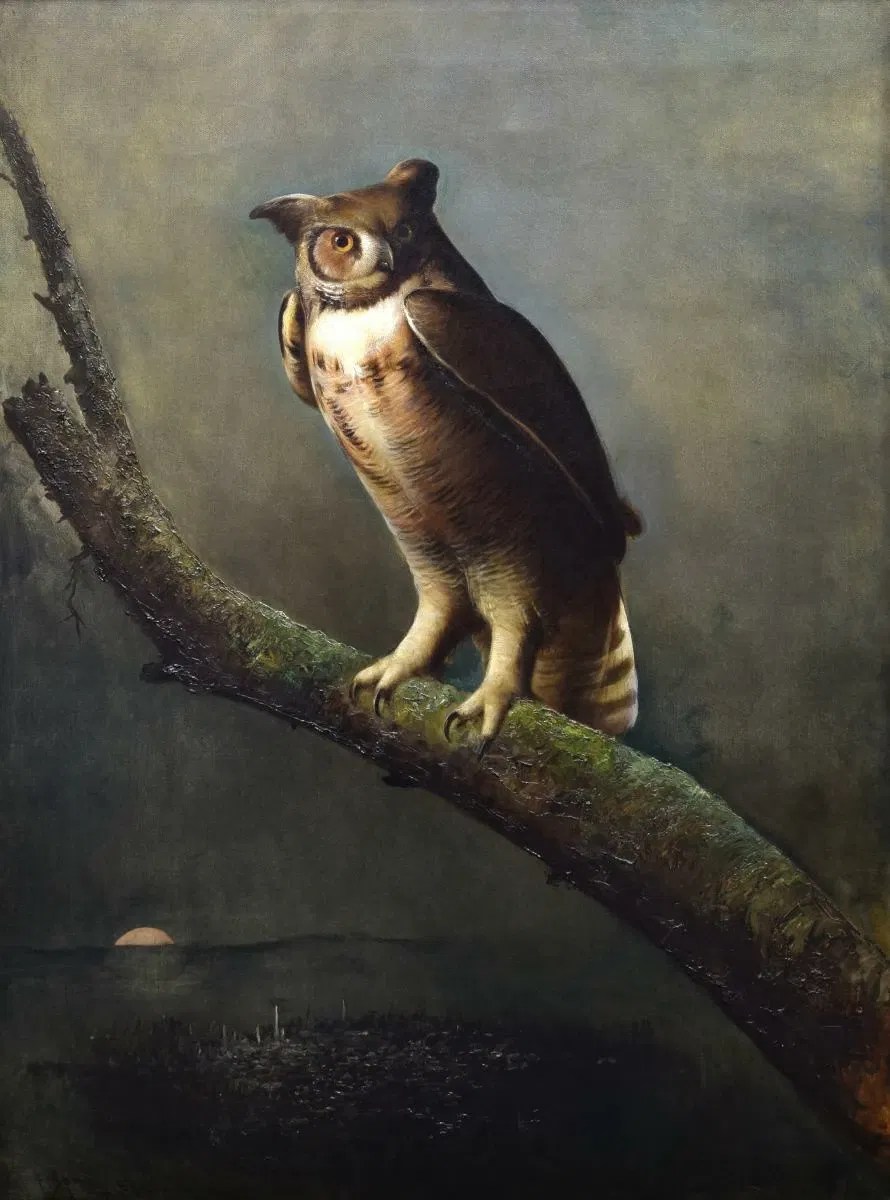 Reading Museum Reading Museum - Gradient Illustration Collection - Ultra HD Quality