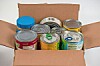 Feeding Hope: How Food Fellowship Ministry Nourishes Over 900 Families in Wayne County Each Month