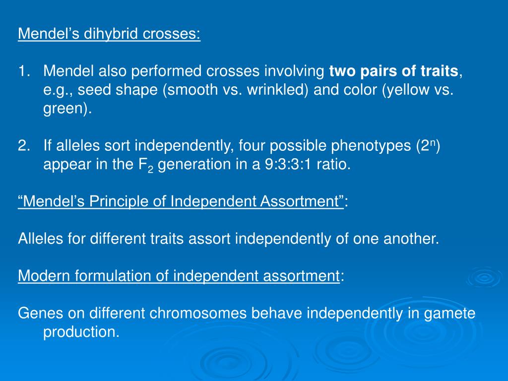 Achieveressays.com is the one place where you find help for all types of assignments. A Dihybrid Cross Involves The Crossing Of Just One Trait. : Homework Help Genetics Two Trait ...