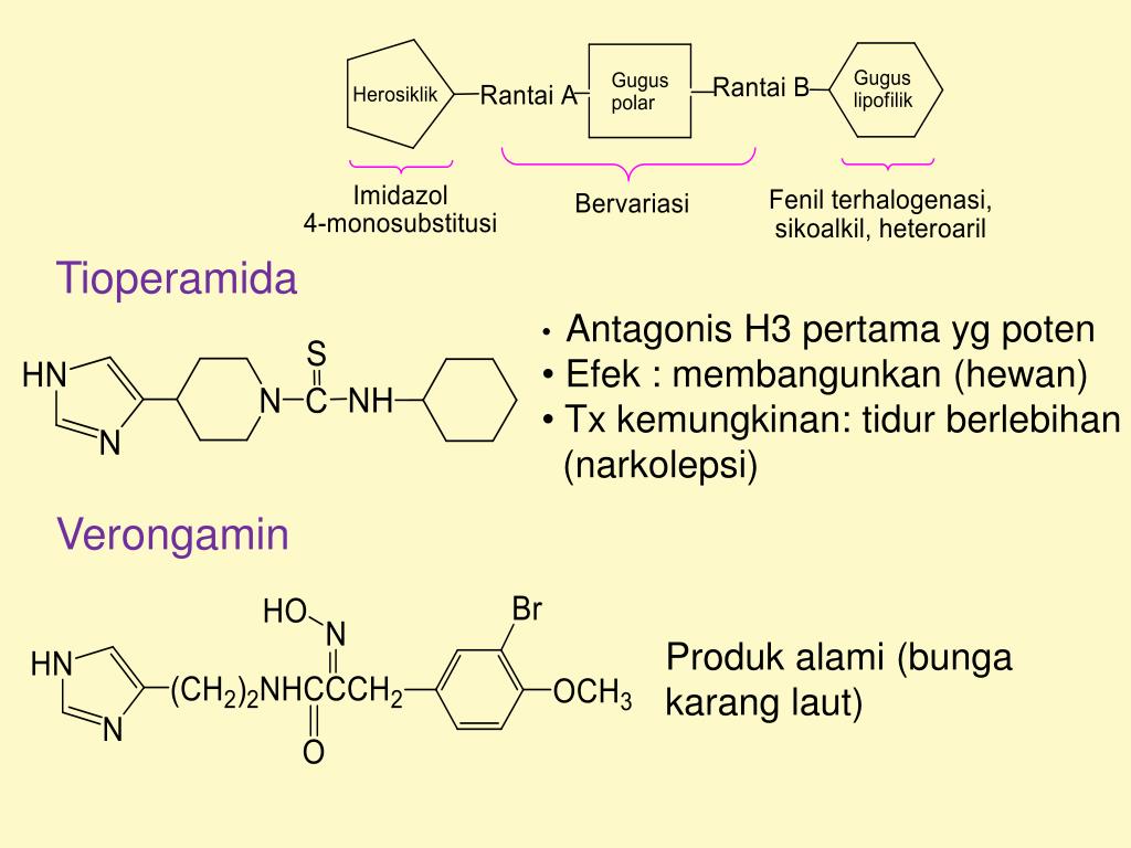 Obat maag alami / herbal tradisional paling ampuh. PPT - OBAT HISTAMIN & ANTIHISTAMIN PowerPoint Presentation
