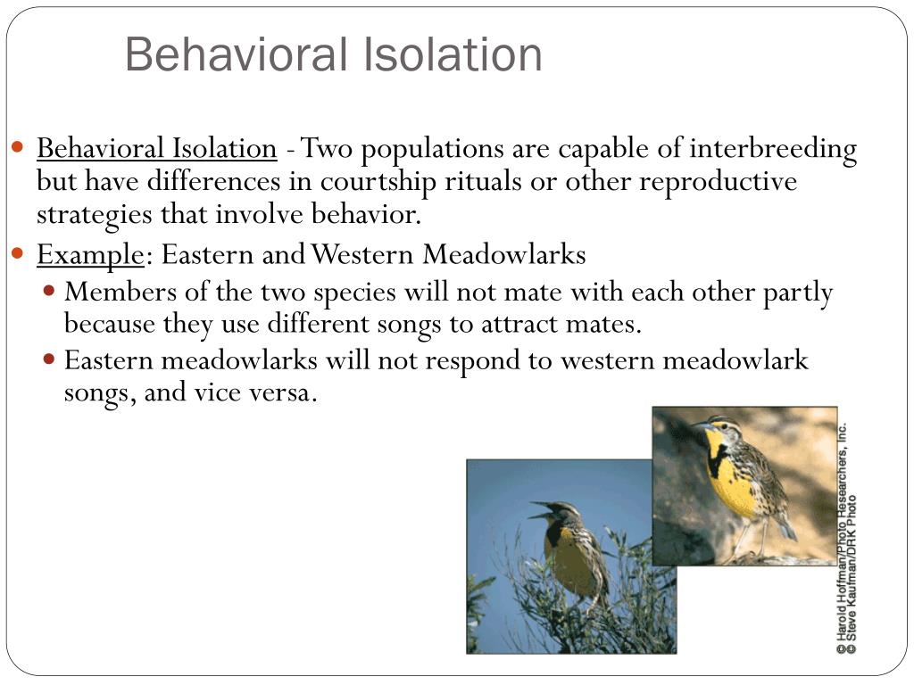 Reproductive isolation examples