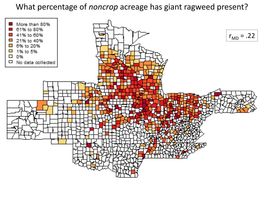PPT Survey Of Giant Ragweed And Management Challenges In Slide11 L 