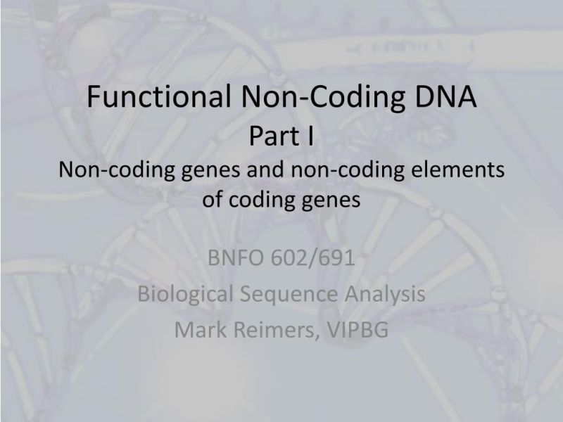 Expression Of Coding And Non Coding Genes Does Not Identify Common Gene - Amazing 8K Mountain Photos | Free Download