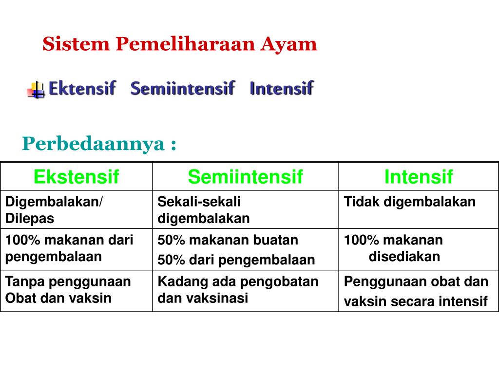 Cara memelihara hewan unggas dibagi menjadi tiga kelompok, yaitu: Ppt Kandang Dan Peralatan Powerpoint Presentation Free Download Id 2536732