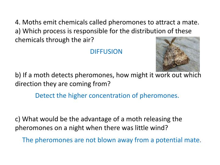 PPT - Diffusion and Osmosis Worksheet PowerPoint ...