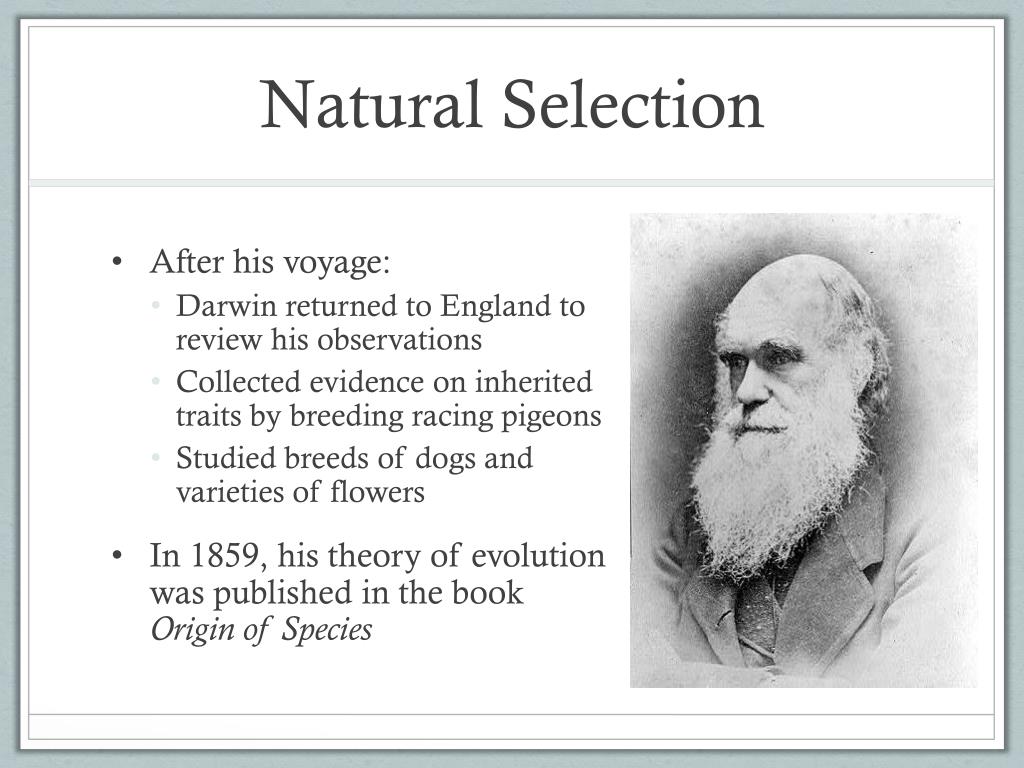 PPT - Chapter 17.1 Ideas about Evolution PowerPoint ...