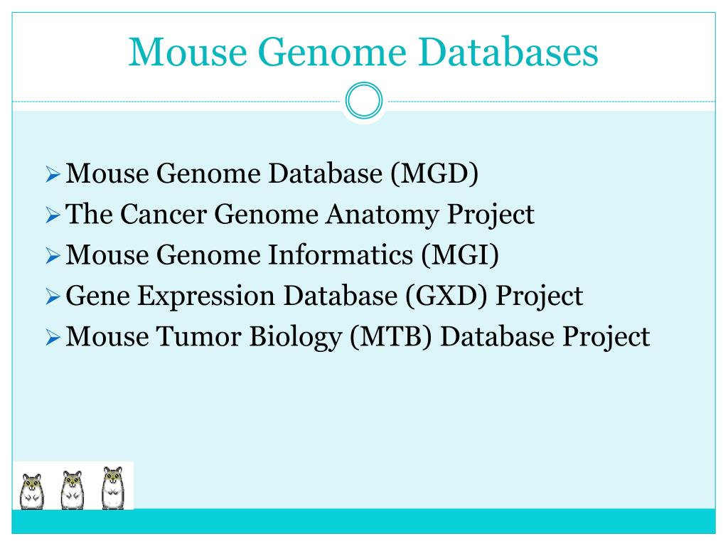 We are vaccinating all eligible patients. Ppt Mouse Genome Project Bioinformatics 407 Powerpoint Presentation Free Download Id 2592865