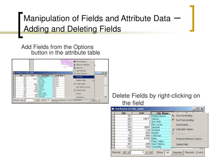 Change Edit Attribute Table Fields Name Fields Type Fields Length - Download Creative Colorful Illustration | Desktop