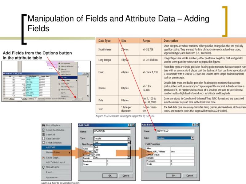 Creating A Report From Selected Features Using Attribute Table Fields - Premium Ocean Wallpaper - 8K