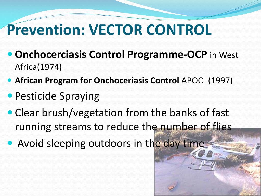 Not only are they a nice compliment to your window settings and curtains, but they offer security from passersby and protection from sun damage. PPT - Onchocerciasis âRiver Blindess â PowerPoint