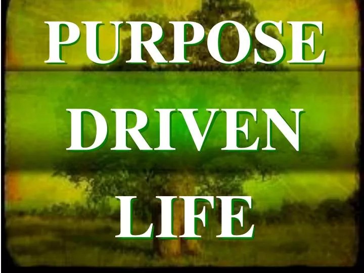 Last night i thought to myself, who answers god's prayers? surely he's got to have some. PPT - PURPOSE DRIVEN LIFE PowerPoint Presentation, free