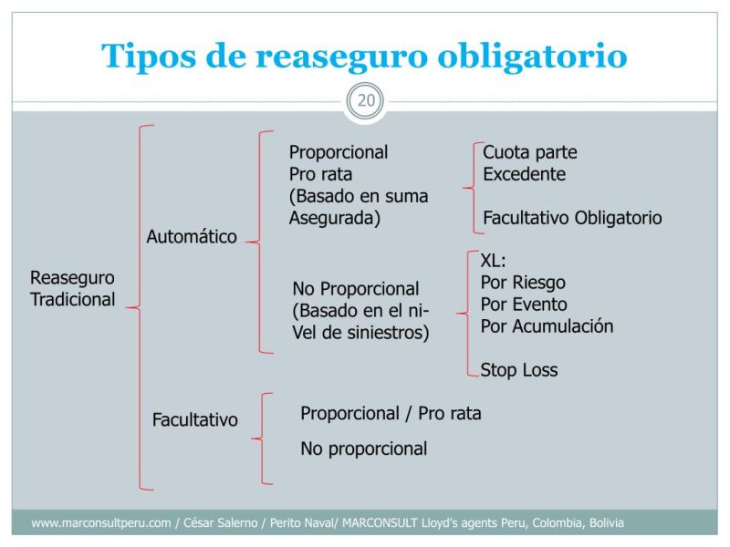 Reaseguro No Proporcional Pdf Reaseguro P Liza De Seguros - Vintage Wallpapers - High Quality 8K Collection