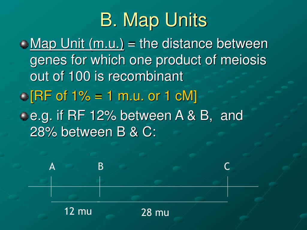 PPT Genetic In Eukaryotes Crossing Over Part 1 B Map Units L 