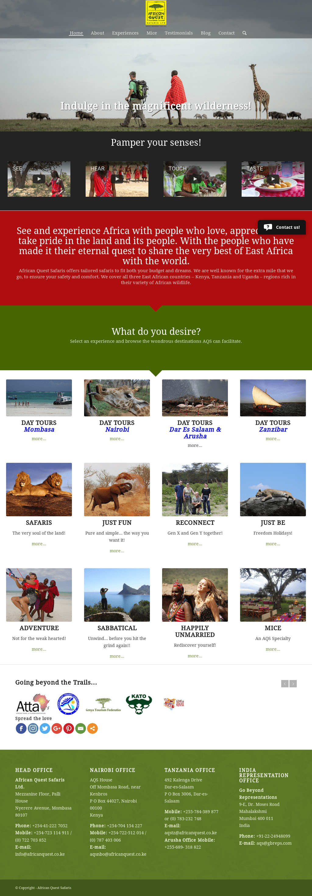 African Quest Safaris Competitors Revenue And Employees
