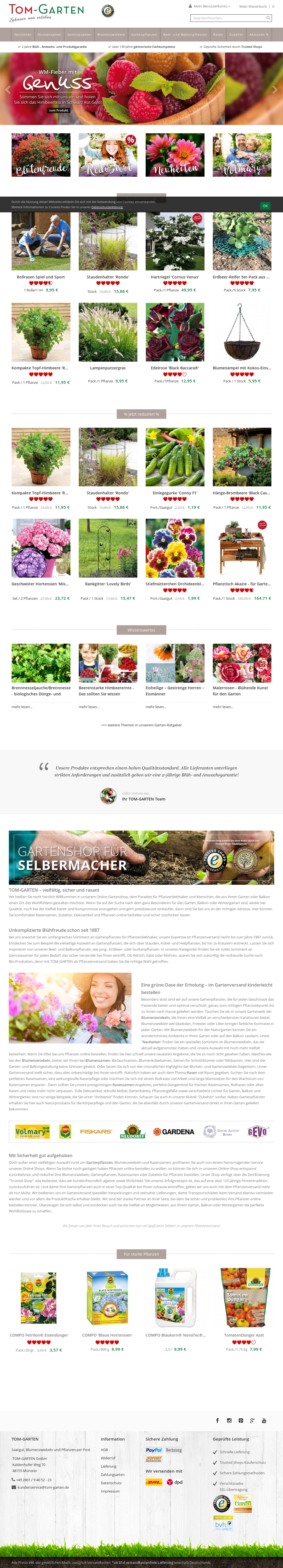 Tom Garten Korkadenblume Kobold Zweifarbige Und Bienenfreundliche 6 Pflanzen Gelb Garten Blumen